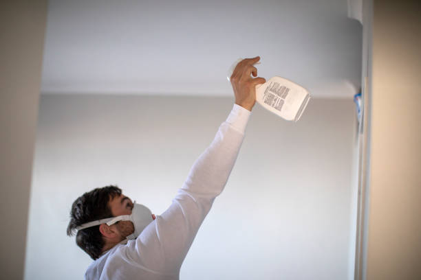 Mold Removal and Inspection in Essexville, MI