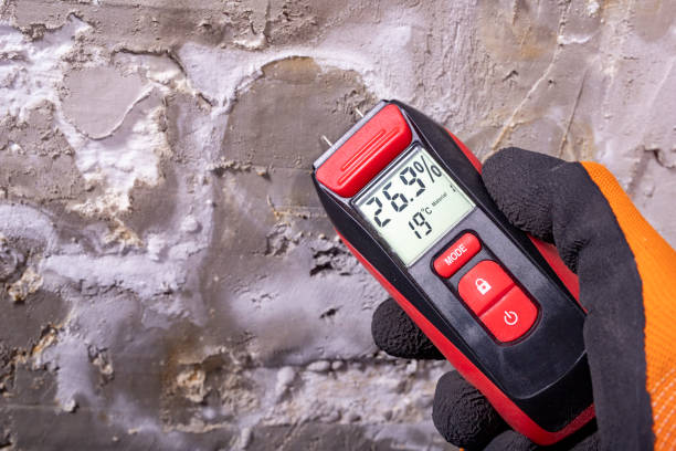 Best Mold Cleaning Services  in Essexville, MI